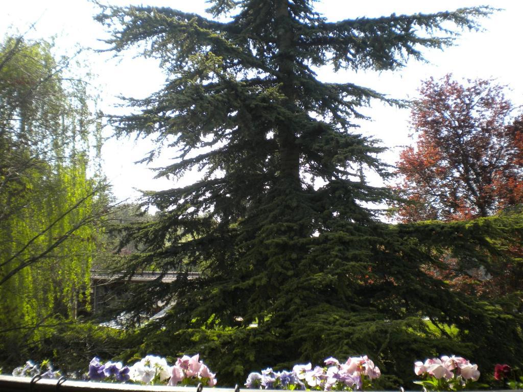 Вилла Aux Marguerites Sainte-Genevieve-les-Gasny Номер фото
